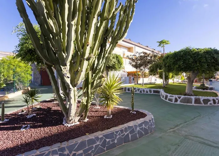 Arona Camisón Playa de las Americas (Tenerife)