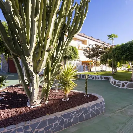 Arona Camison Playa de las Américas